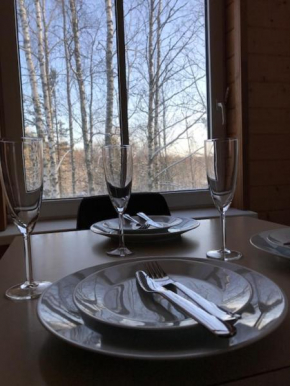 Tientaus 1 Apartments Imatra